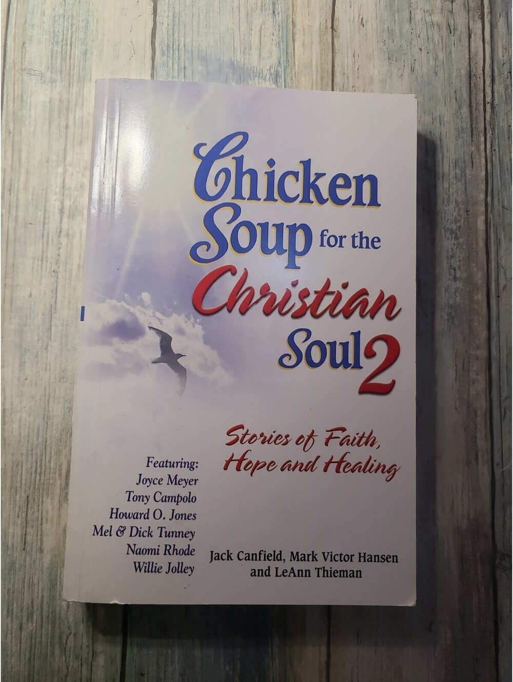 Chicken Soup for the Christian Soul II: Stories of Faith, Hope and Healin 2006